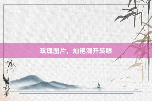 玫瑰图片,灿艳洞开转眼