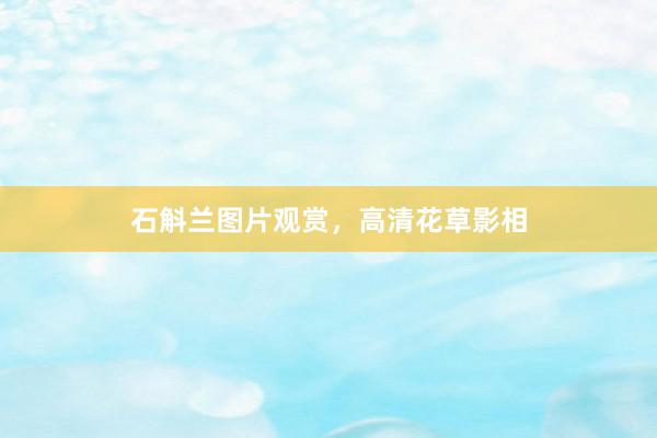 石斛兰图片观赏，高清花草影相