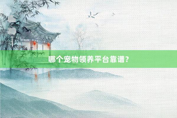 哪个宠物领养平台靠谱？